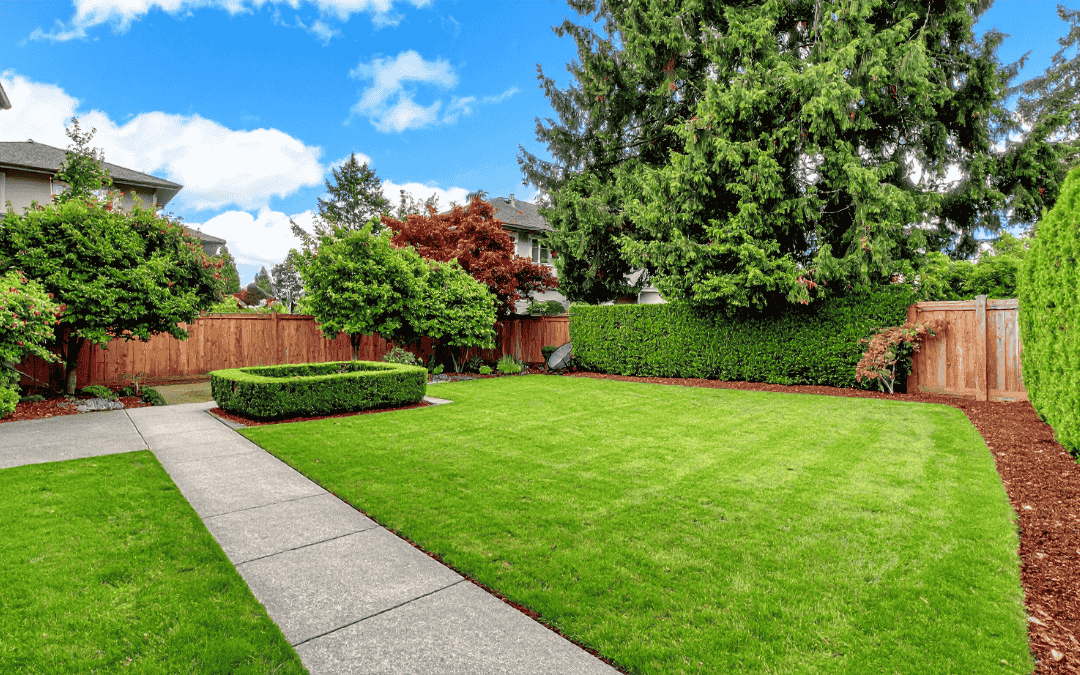 house backyard with turf